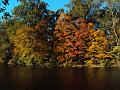 Fall View1